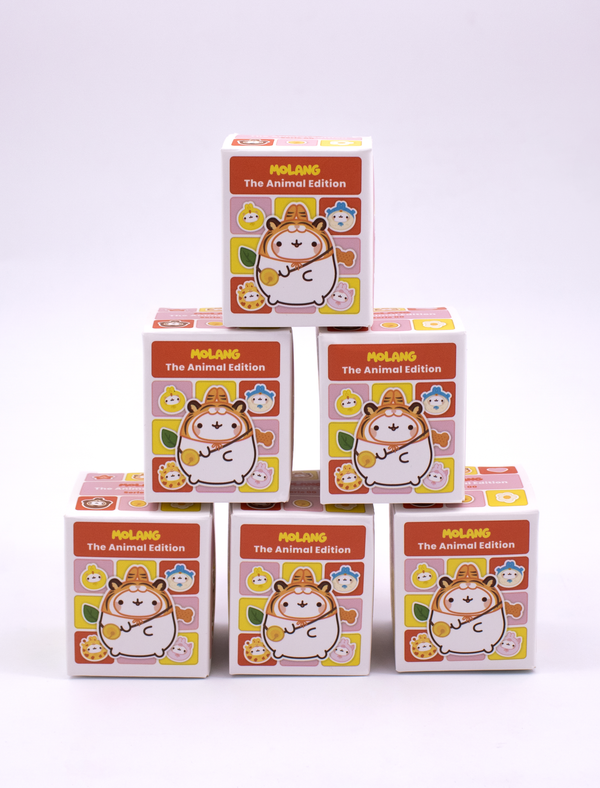 Blind Box Set Molang