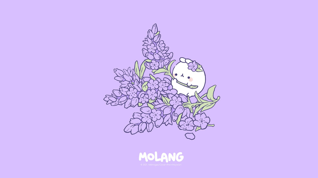 Molang flower purple Wallpaper
