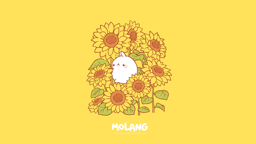 Molang flower yellow Wallpaper