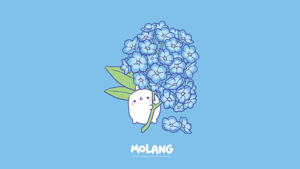 Molang flower blue Wallpaper