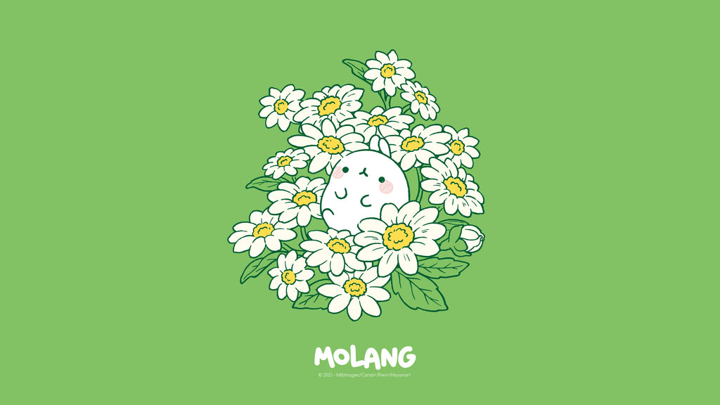 Molang flower green Wallpaper