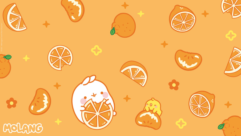 Molang orange Fruit Summer wallpaper 
