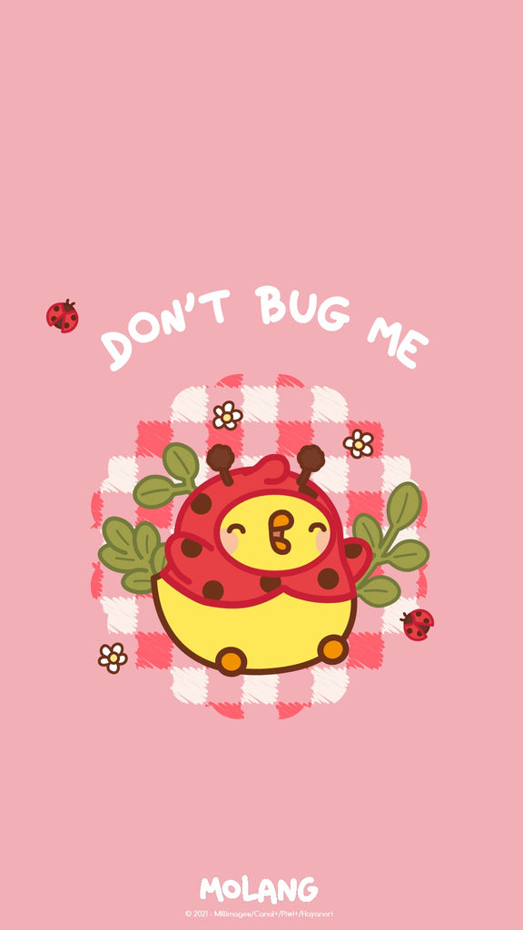 Molang kawaii background: ladybug wallpaper for phone