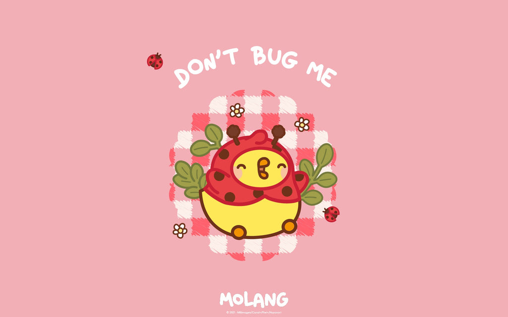 Piu Piu Ladybug  Wallpaper 