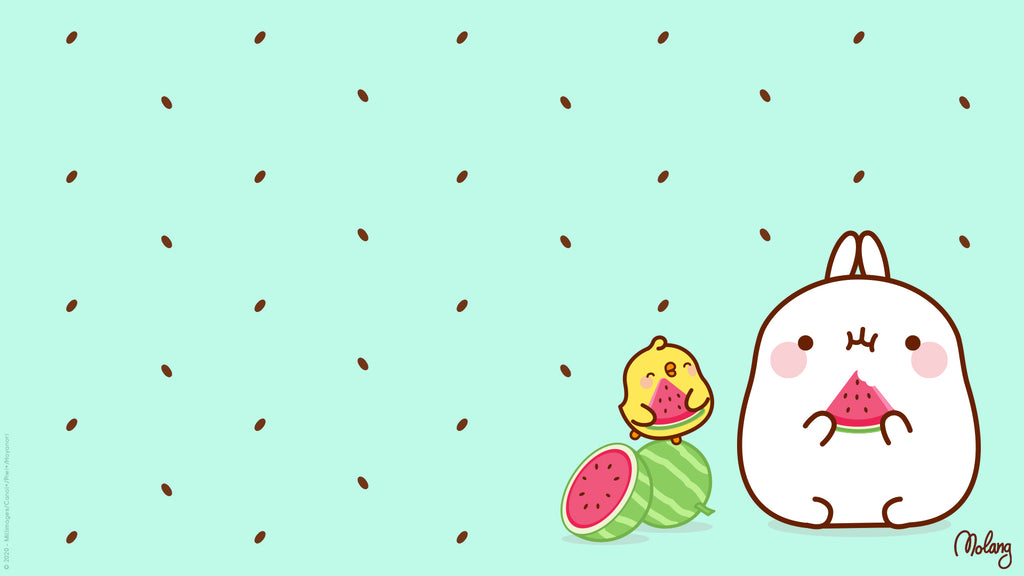 Molang kawaii background: watermelon wallpaper for desktop